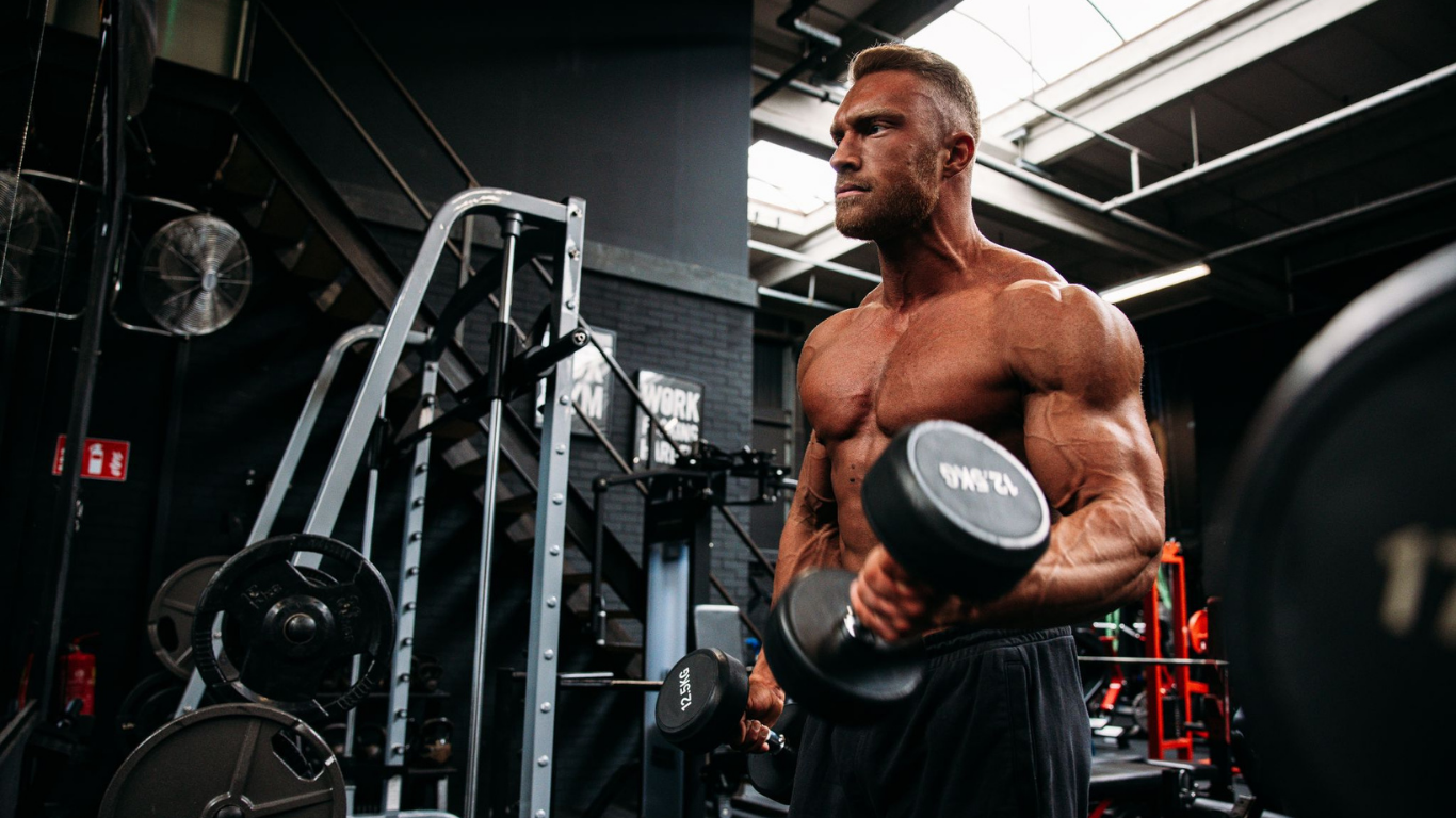 Aesthetic Lifestyle Fitness Coaching